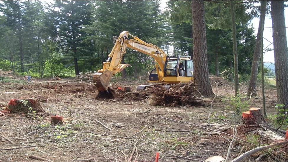 land clearing