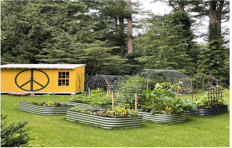 corrugated raised garden beds 