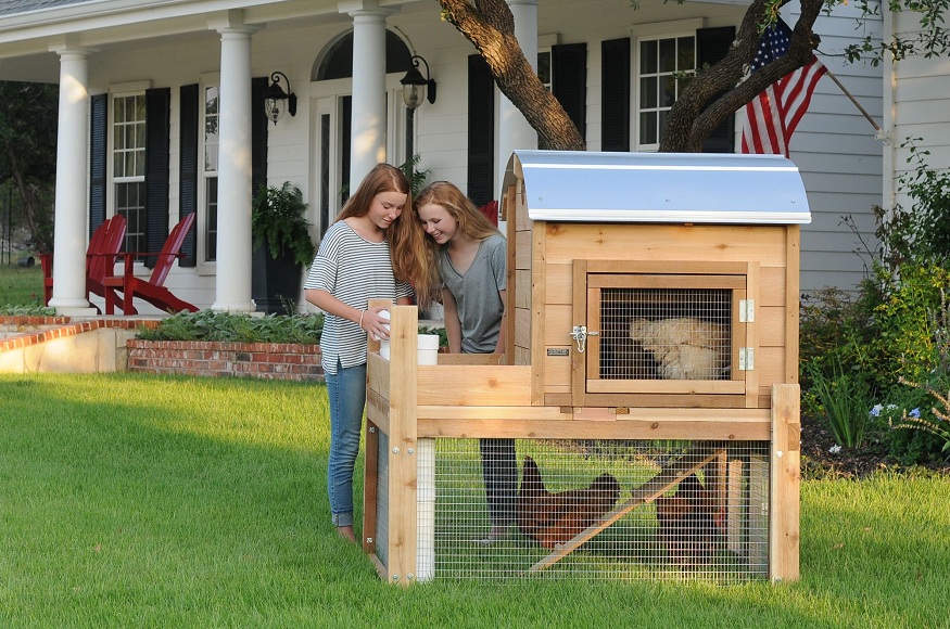 Chicken Coop