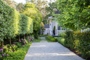 Transforming Front Gardens to Maximise Kerb Appeal