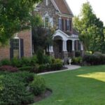 Spring Lawn Revival: Expert Tips for a Green, Healthy Yard