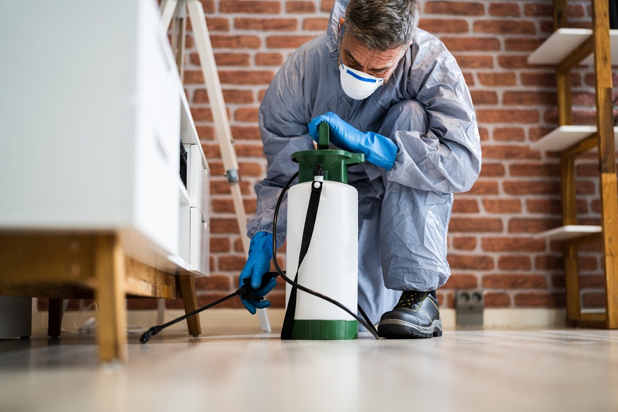 Alliance Pest Services
