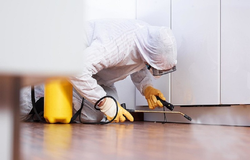 Reliable Pest Solutions