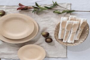 The Ultimate Guide to Choosing Compostable Tableware for Eco-Friendly Dining