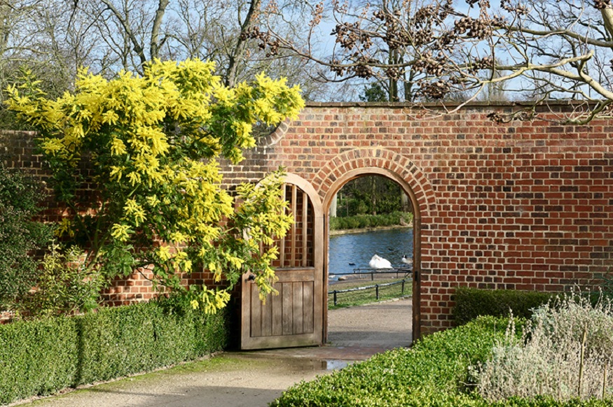 letting agents in Ilford